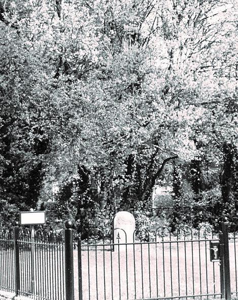 Van Echtenstraat, joodse begraafplaats